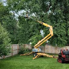 Best Tree Mulching  in Riverside, MO
