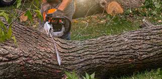 Best Lawn Watering Services  in Riverside, MO