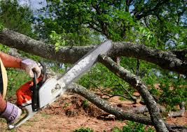Soil Testing and Treatment in Riverside, MO